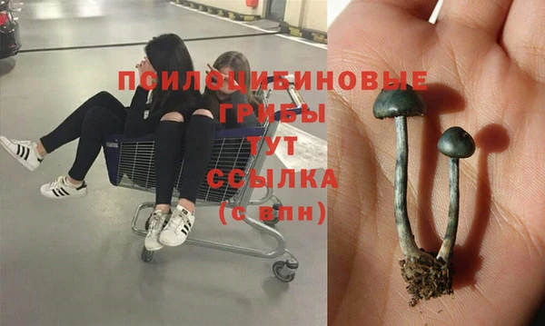 экстази Алексин