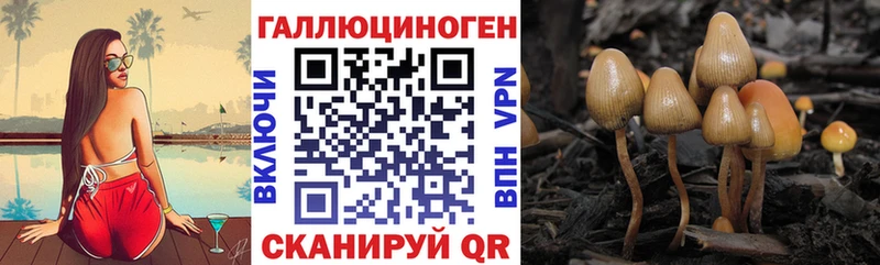 Псилоцибиновые грибы GOLDEN TEACHER  Новосиль 